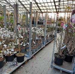 Qualit&auml;t von Geh&ouml;lzen &ndash; eine wichtige Gr&ouml;&szlig;e bei der Neupflanzung im Garten