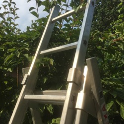 Wer hoch hinaus will &ndash; die richtige Leiter f&uuml;r den Garten&nbsp;