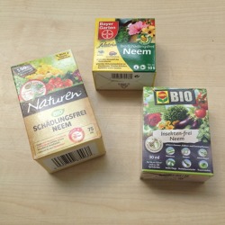 Neem &ndash; mehr als ein biologisches Pflanzenschutzmittel f&uuml;r unseren Garten