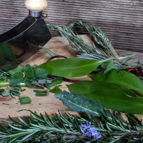 Hausmittel mit Kr&auml;utern aus dem Garten selbst herstellen