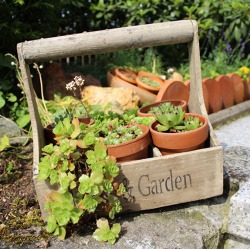 Grundlagenwissen f&uuml;r neue Gartenfreunde